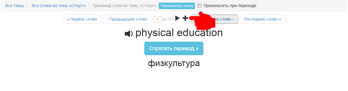 Добавляйте слова и фразы из тренажера